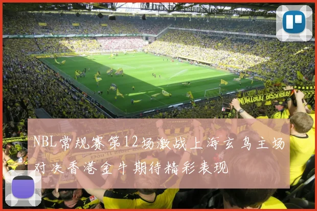 NBL常规赛第12场激战上海玄鸟主场对决香港金牛期待精彩表现