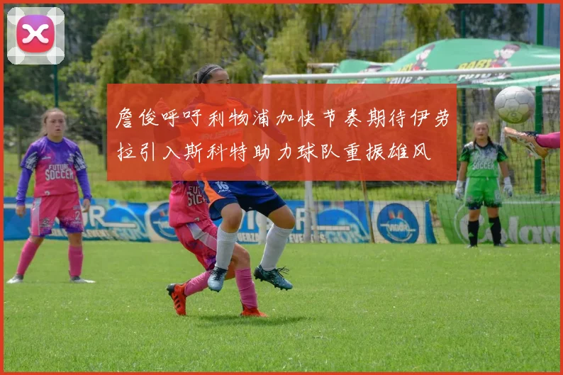 詹俊呼吁利物浦加快节奏期待伊劳拉引入斯科特助力球队重振雄风